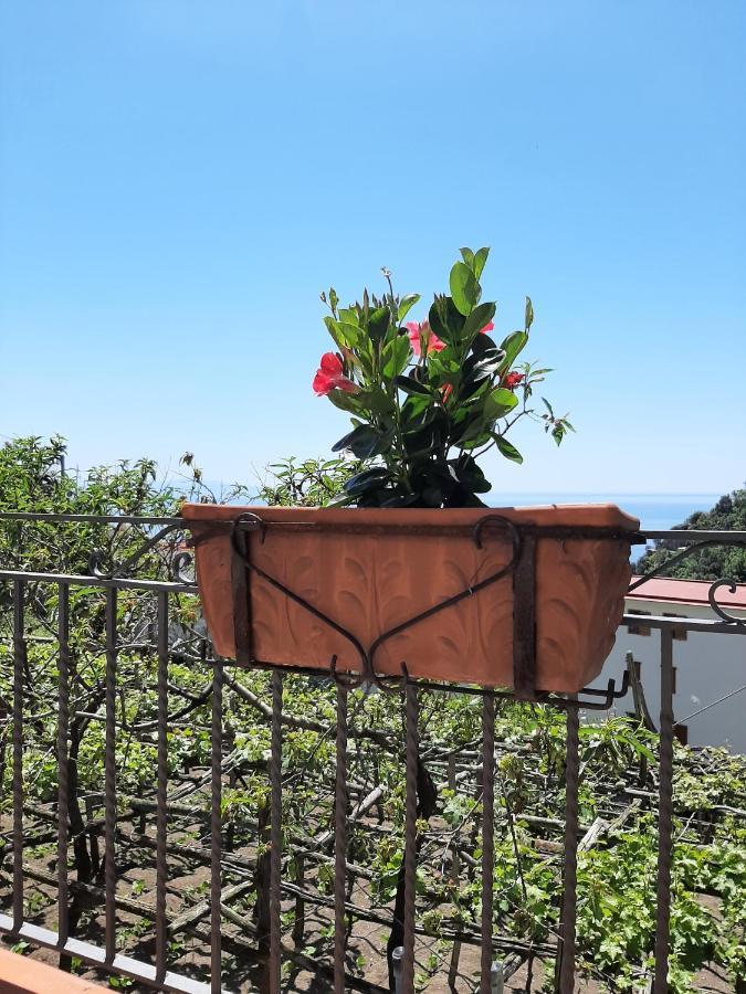 Casa Almary Lejlighed Amalfi Eksteriør billede